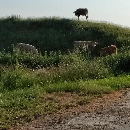 Апартаменты Watt Karolinenkoog