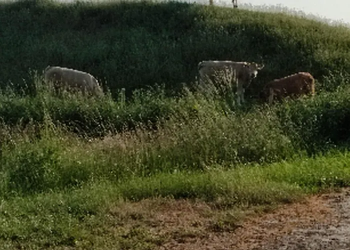 Appartamento Watt Karolinenkoog